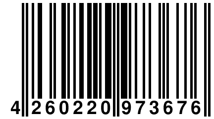 4 260220 973676