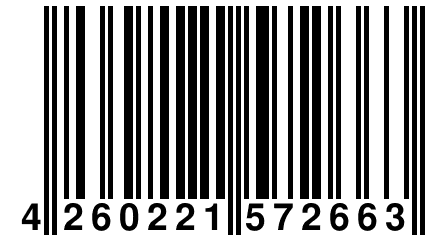 4 260221 572663
