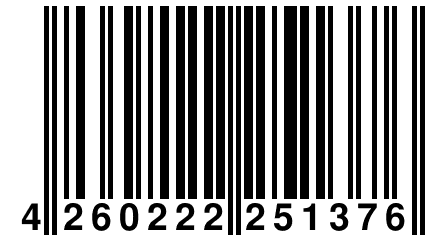 4 260222 251376