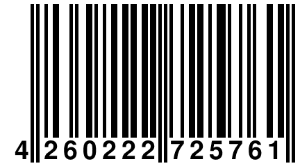 4 260222 725761