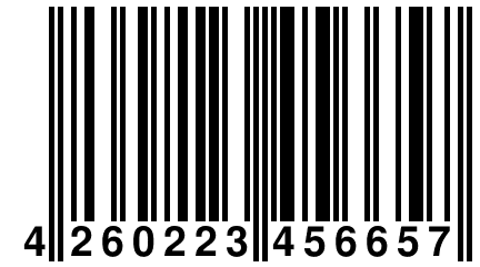 4 260223 456657