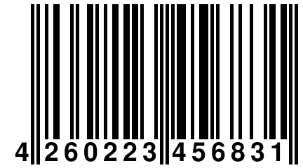 4 260223 456831