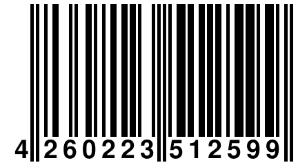 4 260223 512599