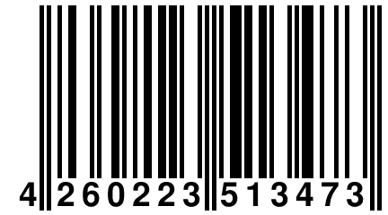 4 260223 513473