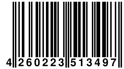 4 260223 513497