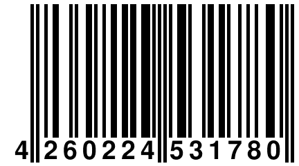 4 260224 531780