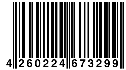 4 260224 673299
