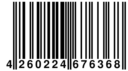 4 260224 676368