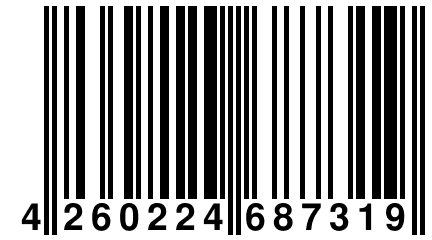 4 260224 687319