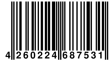 4 260224 687531