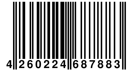 4 260224 687883