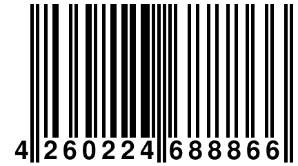4 260224 688866