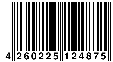 4 260225 124875