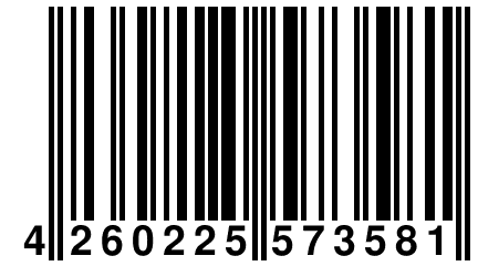4 260225 573581