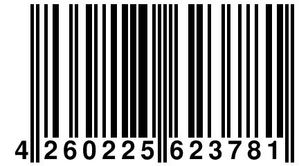 4 260225 623781