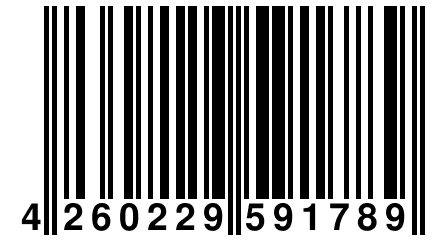 4 260229 591789