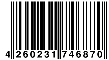 4 260231 746870