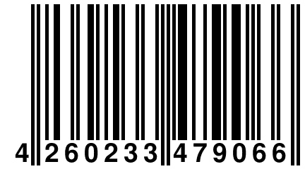 4 260233 479066