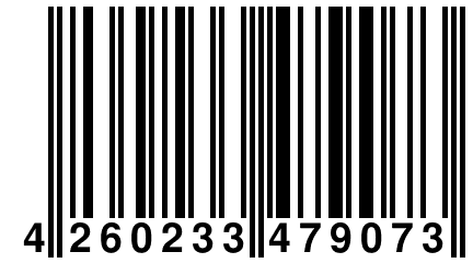 4 260233 479073