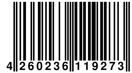 4 260236 119273