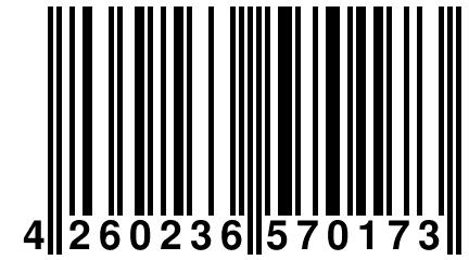4 260236 570173
