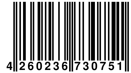 4 260236 730751