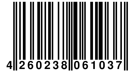 4 260238 061037