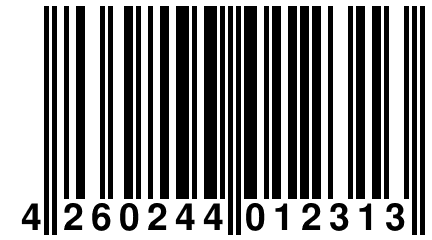 4 260244 012313