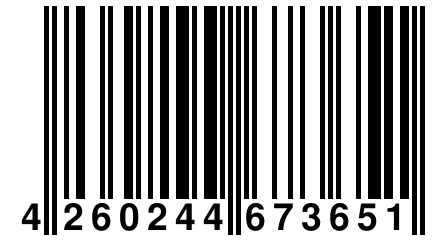 4 260244 673651