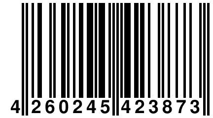 4 260245 423873