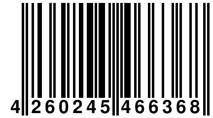 4 260245 466368