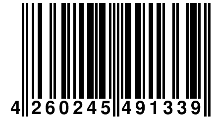 4 260245 491339