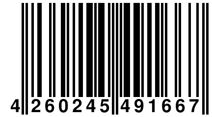 4 260245 491667