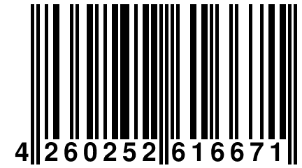4 260252 616671
