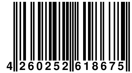 4 260252 618675