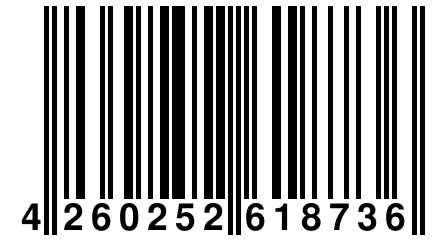 4 260252 618736