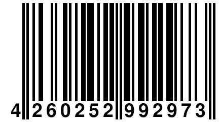 4 260252 992973