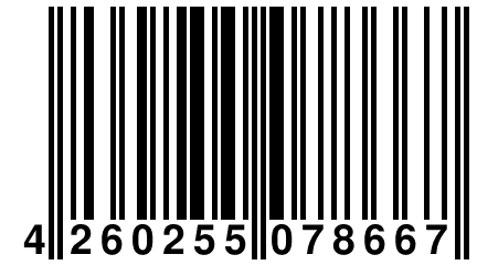 4 260255 078667