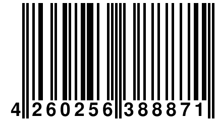 4 260256 388871