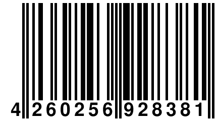 4 260256 928381