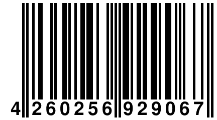 4 260256 929067