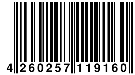 4 260257 119160