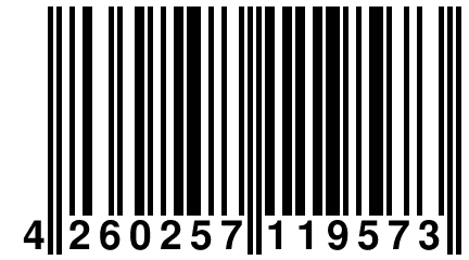 4 260257 119573