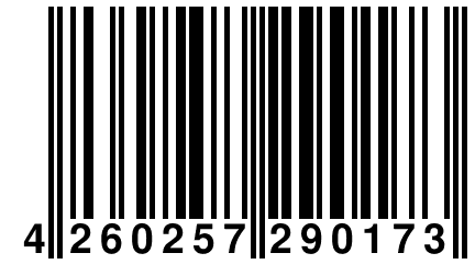 4 260257 290173