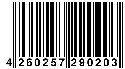 4 260257 290203