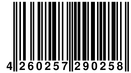 4 260257 290258