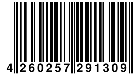 4 260257 291309