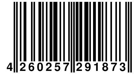 4 260257 291873