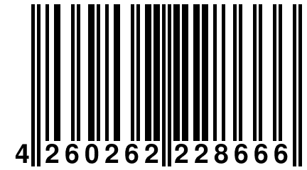 4 260262 228666