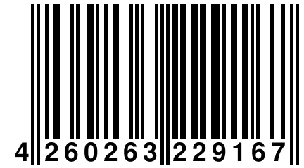 4 260263 229167